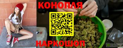 прущие грибы Можайск