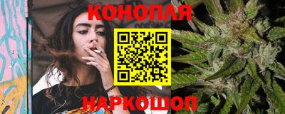 прущие грибы Можайск