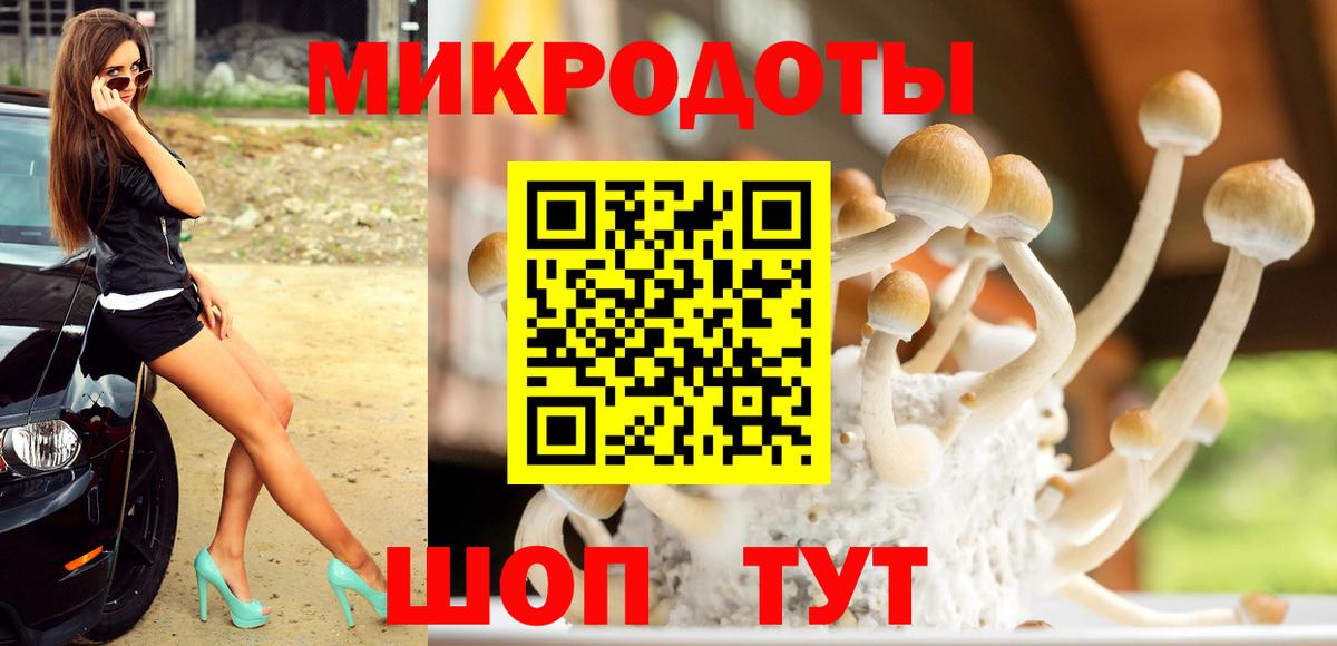 Саратов  Галлюциногенные грибы прущие грибы  цены наркотик  Вход с VPN  Псилоцибиновые грибы мухоморы 